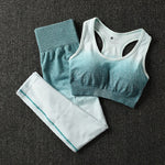 2 Piece ombre gym set yoga