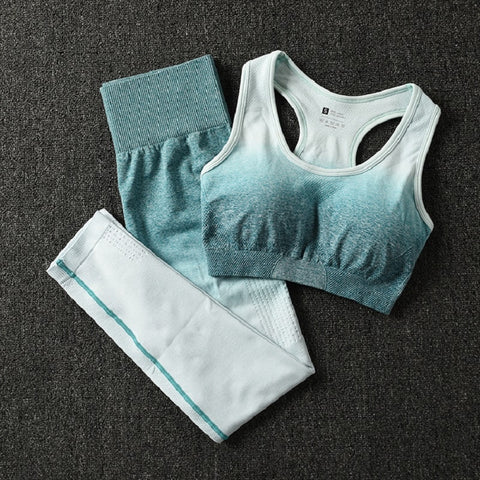 2 Piece ombre gym set yoga