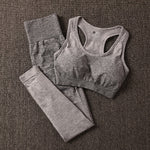 2 Piece ombre gym set yoga