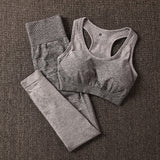 2 Piece ombre gym set yoga