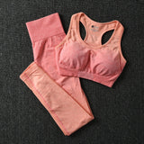 2 Piece ombre gym set yoga