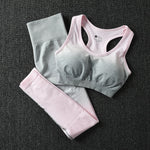 2 Piece ombre gym set yoga
