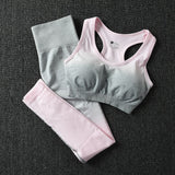 2 Piece ombre gym set yoga