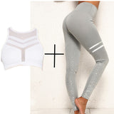 Pad Tracksuit