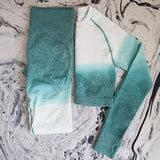 Ombre Seamless 2 Piece Set Women Sport